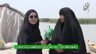 اهوار العمارة   نهر العز والحياة المعيشية فيها جفاف المياه مساكين العوائل