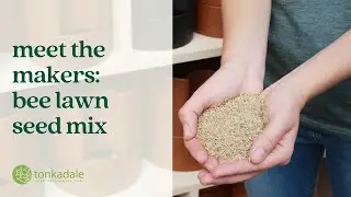 Meet the Makers Bee Lawn Seed Mix