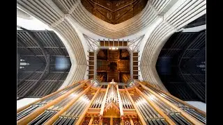 Organ Recital - Colin Walsh