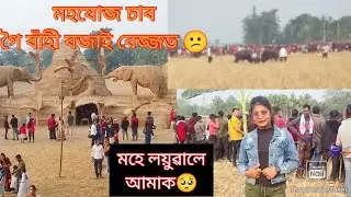 আহঁতগুৰি ঐতিহসিক মহযুজ ।। buffalo war।।B bobi vlogs ।।#buffalowar #assam