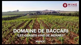 DOMAINE DE BACCARI : LES GRANDS VINS DE MEKNES l MAROC l WINE EXPLORERS