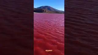 Why is the Nile River Red?