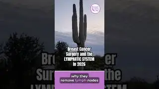 How Many Lymph Nodes Should Be Removed for Breast Cancer #breastcancer #explained