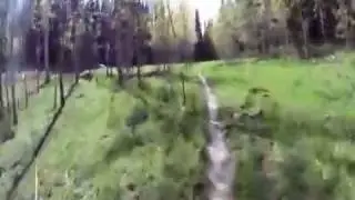 Mill Creek Trail
