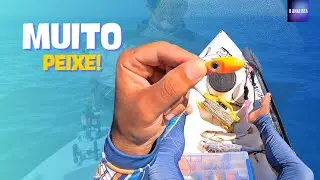 ESSA ISCA PEGA MUITA CORVINA! PESCARIA DE CORVINA COM ISCA ARTIFICIAL! MICRO JIG!