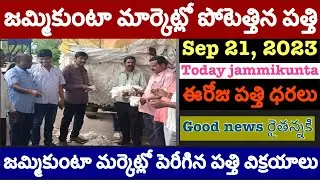 21.9.2023 today jammikunta cotton price |cotton rate jammikunta |today jammikunta cotton price