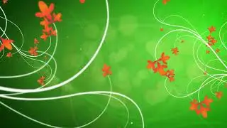 Jump Backs HD 25 Fresh Crawl   FREEFOOTAGE   CREATIVE COMMONS    creativecommons  freefootage1080P H