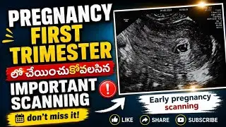 Most important First Early pregnancy scanning in first trimester |Within three months |By PNJ VLOGS 
