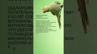 Новый вкус МАНГО! #гербалайф #рецепты #коктейли #cooking #бадыдляздоровья