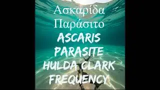 &Alpha;&sigma;&kappa;&alpha;&rho;ί&delta;&alpha; &Pi;&alpha;&rho;ά&sigma;&iota;&tau;&omicron; Hulda Clark &Theta;&epsilon;&rho;&alpha;&pi;&epsilon;&upsilon;&tau;&iota;&kappa;ή &Sigma;&upsilon;&chi;&nu;ό&tau;&eta;&tau;&alpha; -Parasites Ascaris Hulda Clar&kappa; Frequency