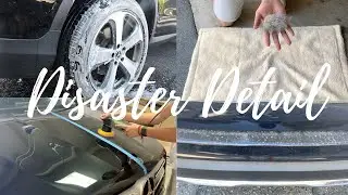 Disaster Mercedes Detail | One Step Polish | Ceramic Coating | Kings Auto Detailing