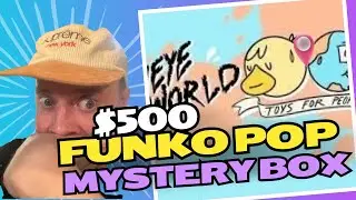 $500 Smeye World Anniversary Funko Grail Mystery box