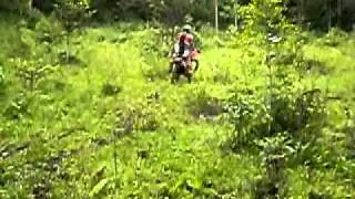 CRF banhado acima
