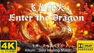 PIPERON - ENTER THE DRAGON