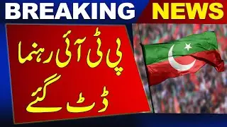 Standing Committees of Senate | Shibli Faraz and Ali Zafar Talk | Newsone