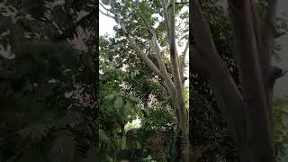 Yan Po guys nag potol Po kami Ng pono