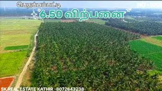 6.50 Acer coconut farm sale in /Pethappampatti area அருமையான காப்பில் உள்ள மரங்கள்