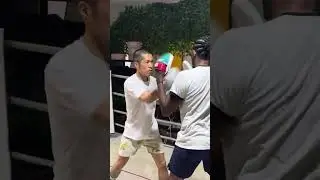 Mitts In Osaka - WuGong Boxing