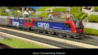 Trafic cargo Br 193, Re 421, Re 482 Roco