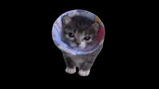 Random Hanging & Gaming! [Finally made EMOTES! -NEW REDEEMS! Sock Reveal When!? Steam Giveaway SOON]