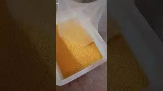 Color sorter separates impurities and insects in Xiaomi #ricecolorsortermachine #farming