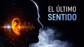 El último sentido que desaparece