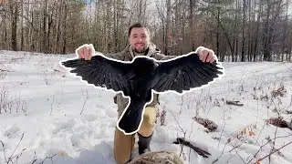 Crow Hunting on My Property