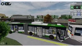 MZK Chojnice - Linia 901 