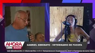 El veterinario t&eacute;cnico de FUCOFA, Gabriel Simonato, sobre la fiebre manchada en Ahora o Nunca.