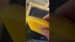 Waxing plastic bee foundation.
