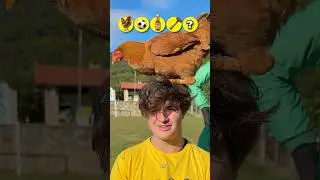 IMPOSSÍVEL ME IRRITAR