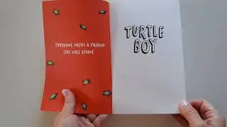 Usborne - Turtle Boy