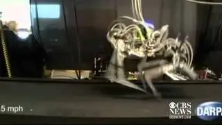 Cheetah-bot breaks robot speed record