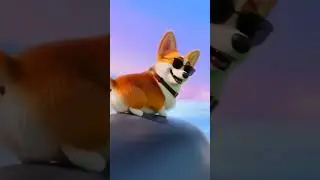Chaos Adventures Ep.1 - Dreams of Chaos!💤Small Dog,Big Dreams!