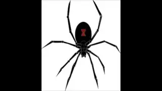 Black Widow Band 2015 Music Clip