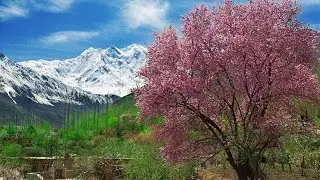 Hunza Valley (Gilgit) Travel/Travel Guide, Many More (2016) Full HD