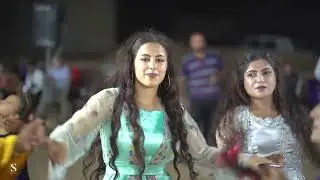 حفلة ابن الفنان عادل سعيد العريس مصطفى قرية خربيسان تحتاني