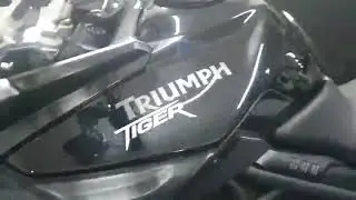 PROBLEMA CR&Ocirc;NICOS TRIUMPH TIGER 800 ⚠️ EIXO PEDAL CAMBIO !!!