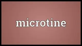 Microtine Meaning
