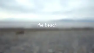 3D Audio Experience: The Beach Ocean Sounds