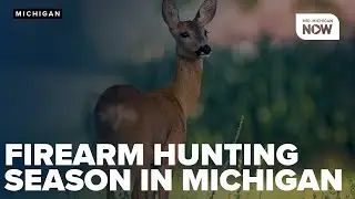Michigan's firearm deer season opens soon with promising outlook