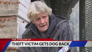 Stolen service dog reunited with owner