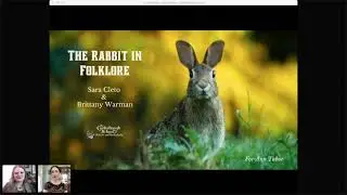 The Carterhaugh School - The Rabbit in Folklore