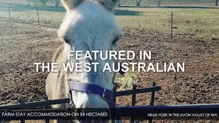 Farm Stay Accommodation on 54 Hectares &ndash; near York in the Avon Valley, WA