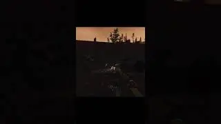 FMoT Bully