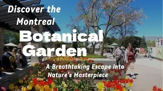 The Montreal Botanical Garden Tour