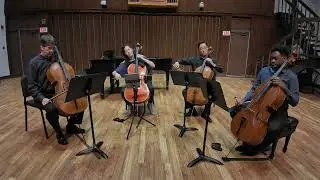 A Cellist's Variations on 