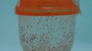 Phytoseiulus Persimilis | Enclosure Prototype | Beneficial Insects | Predator Mites Bio-Systems LLC