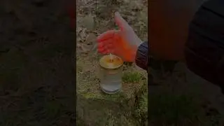 DIY Oil Candle. #survival #camping #lifehacks #ideas #outdoors #skills #forest #bushcraft #handmade