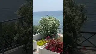 Our small paradise